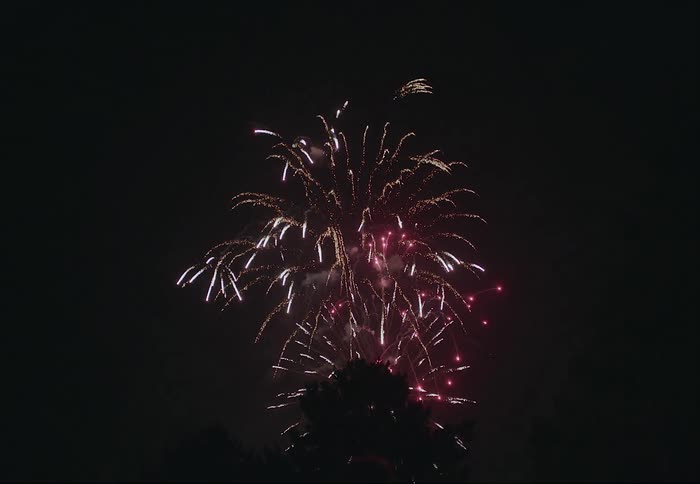 Firework show exploding over the treetops in the night sky