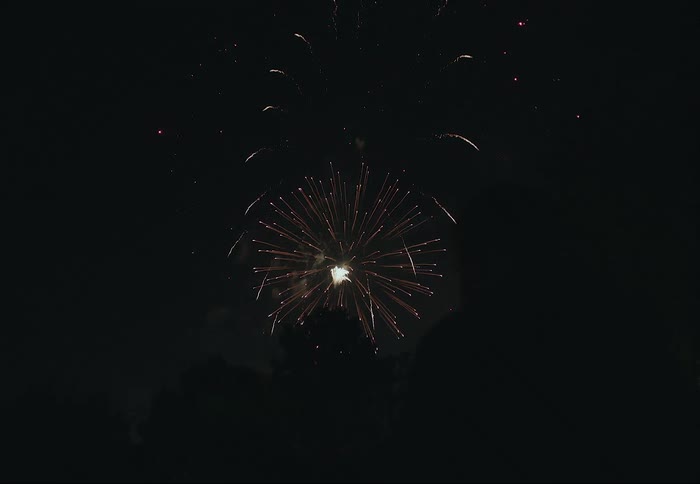 Silhouette of a person watching fireworks at night