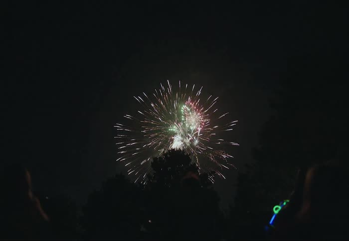 Fireworks fill the night sky