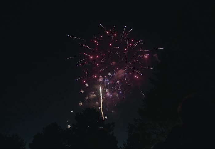 Fireworks explode in the night sky