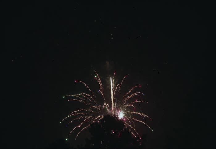Fireworks shooting off above trees at night