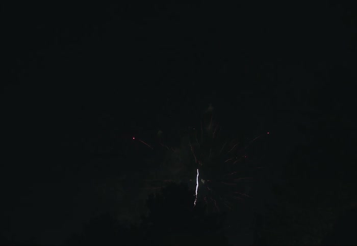 Fireworks explode in the night sky over trees
