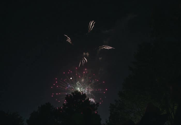 Fireworks explode in the night sky