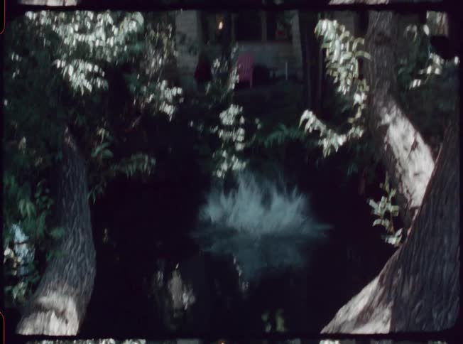 A man jumps from a tree branch into a lake