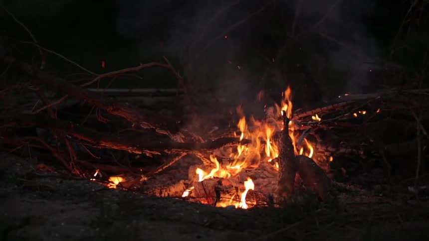 Campfire at night