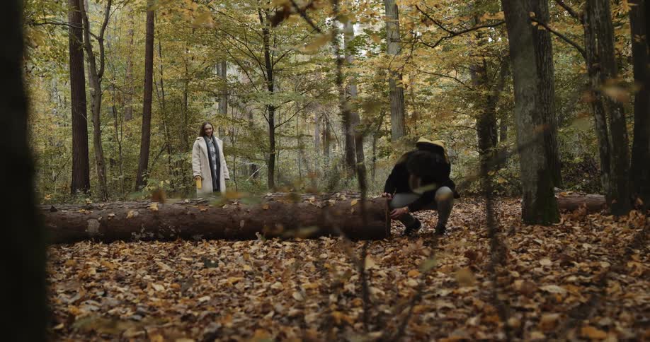 A man examines a fallen tree in the forest