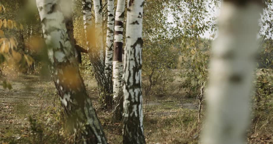 Two friends are running around chasing each other in the woods