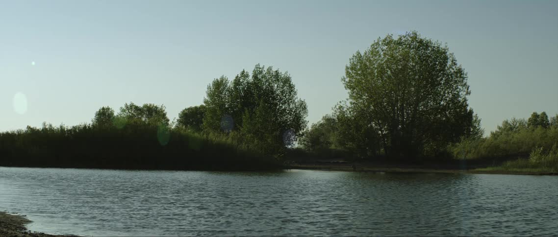 Sunlight reflects on the water of a river with a forest along the coast as it ripples and moves under a clear sky