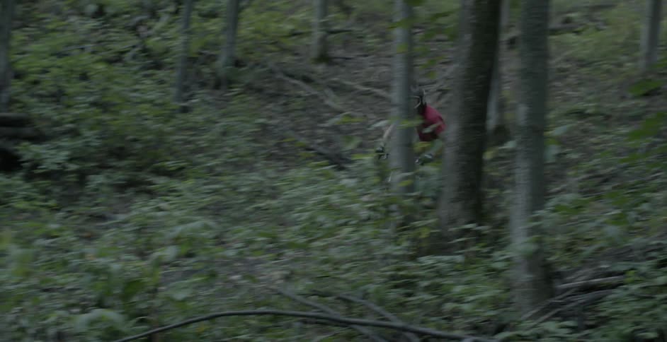 A person bikes through the forest