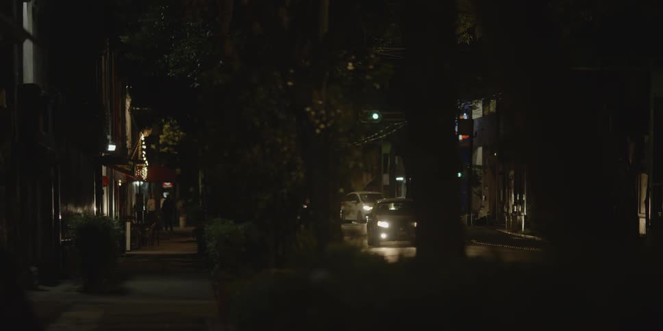 Headlights of vehicles on busy street cast trees into silhouette