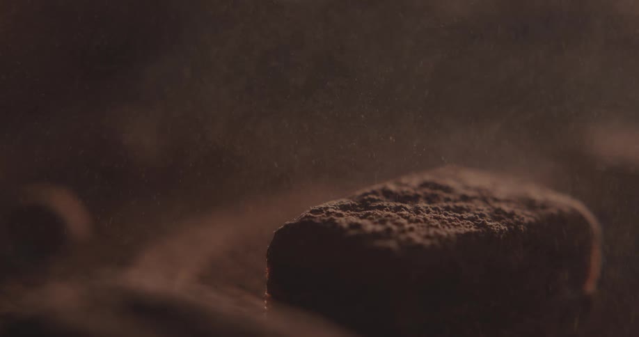 Cocoa powder is dusted on a piece of chocolate