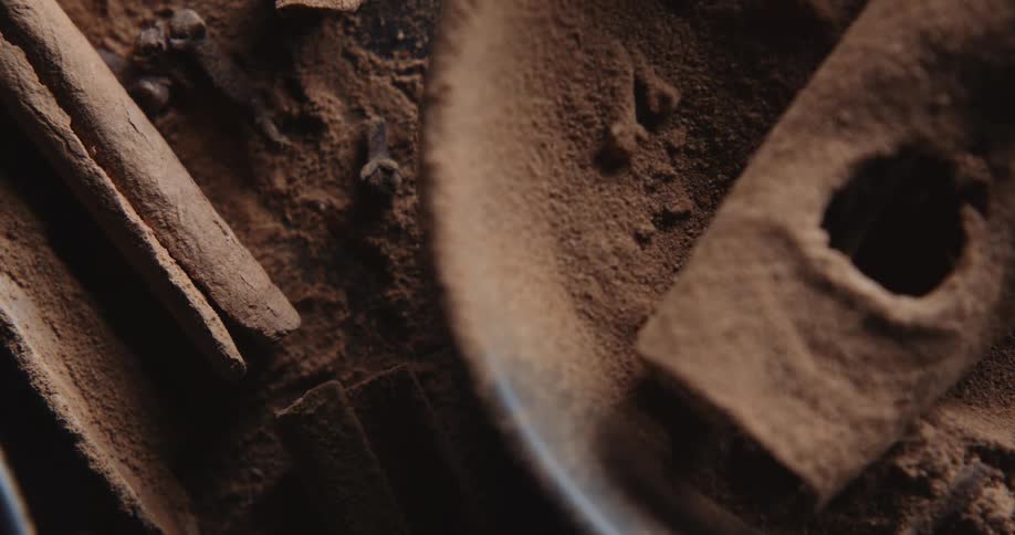 Cinnamon sticks rest in a bowl with cocoa powder