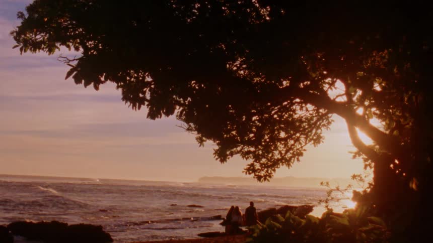 People walk along beach as setting sun silhouettes large nearby tree
