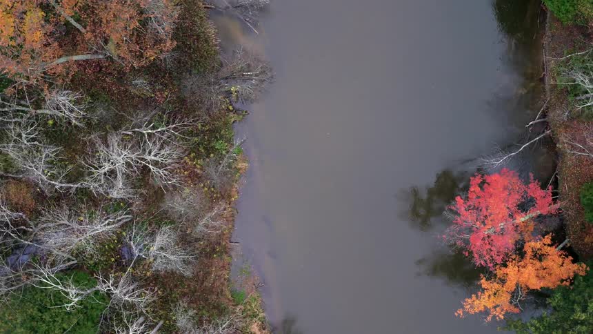 Aerial over stream and fall colored trees