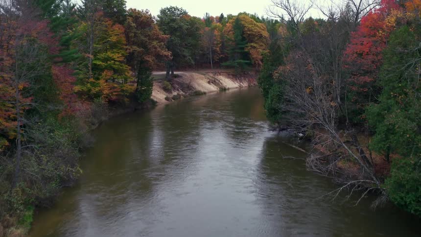 A stream is surrounded by trees