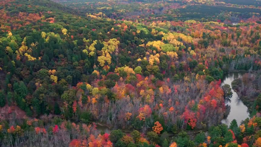 A stream runs through forests with different colored trees