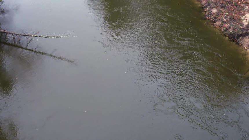 River flowing calmly