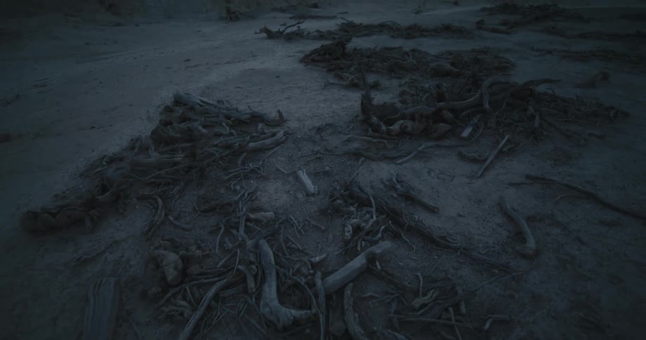 Piles of driftwood are strewn between hills