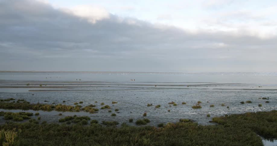 A view of a body of water is displayed at midday