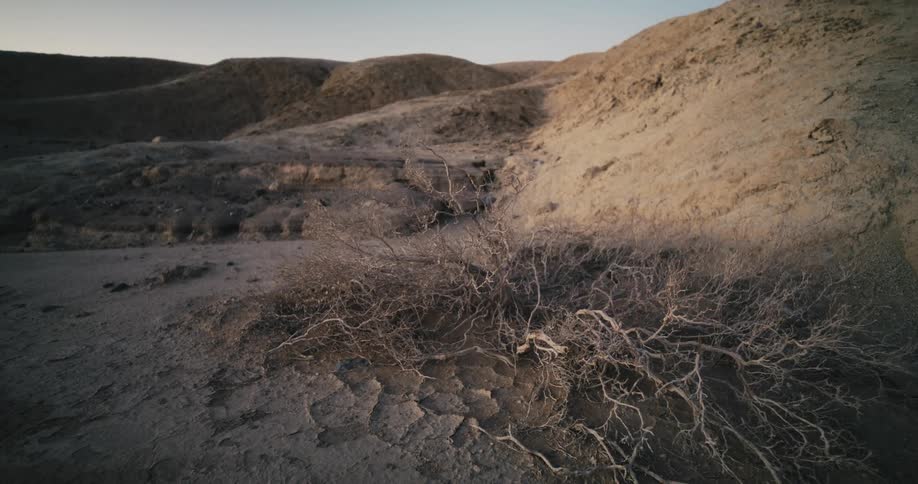 Several dirt mounds outdoors