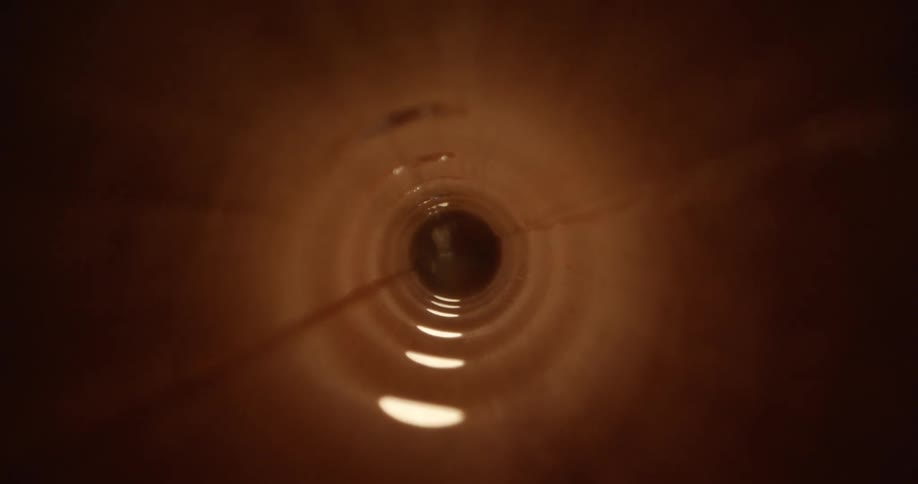 Sunlight filters through the holes of a flute
