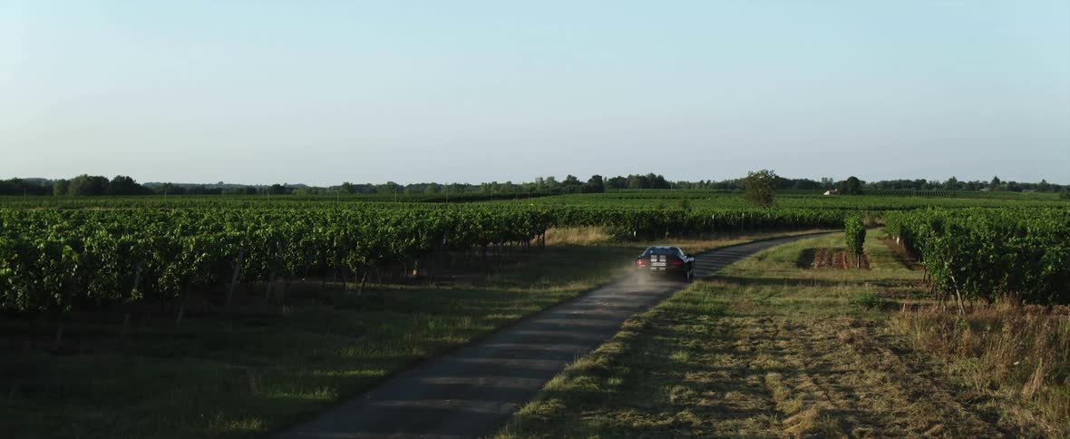A black sports car is traveling on a rural road through farmland