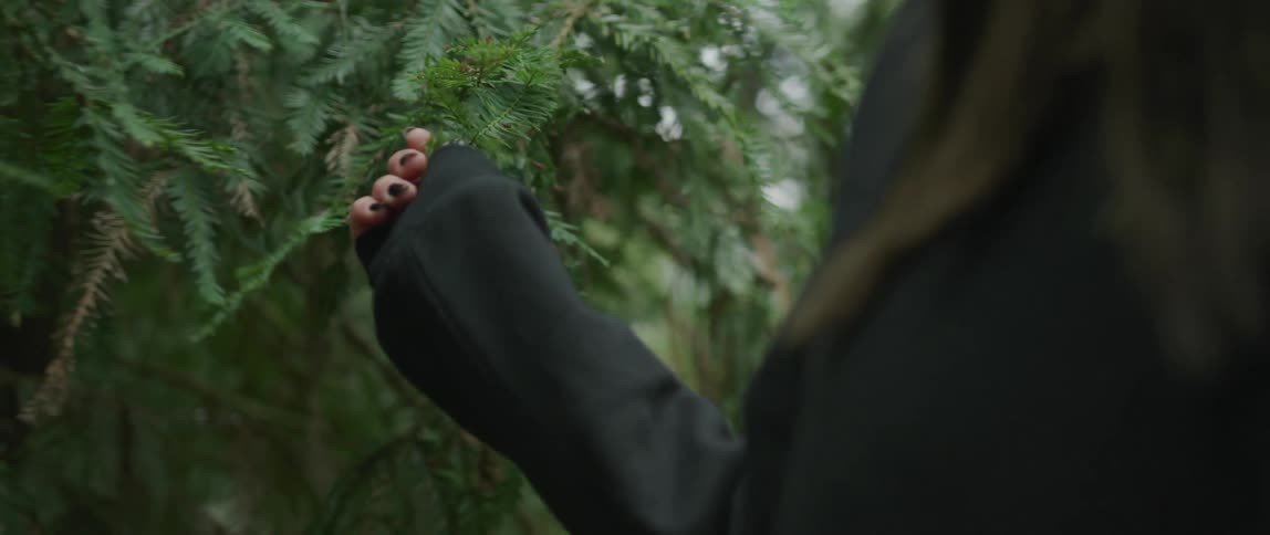A woman runs her hand over tree branches as she walks past