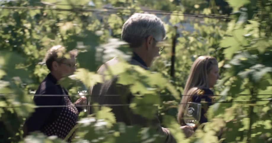 Friends walk through a vineyard while holding wine glasses during the day