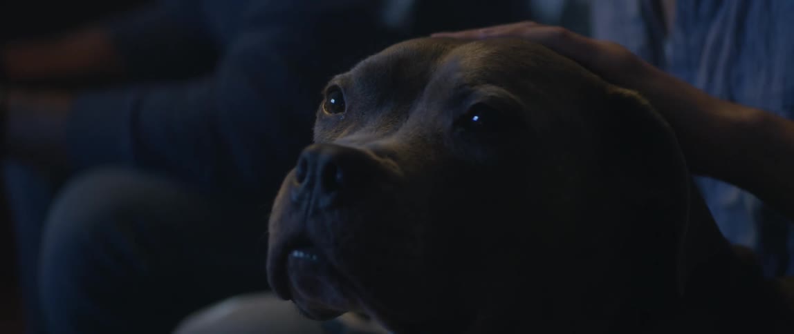 Two men are sitting on the couch and one is petting their dog on the head