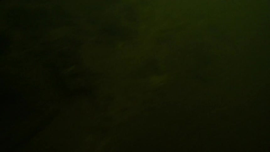 A person jumping into a creek