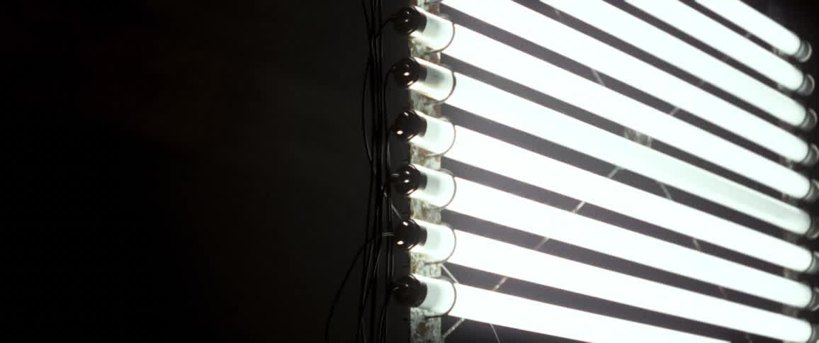 Several light tubes sitting across frame in parallel turn on brightening the area
