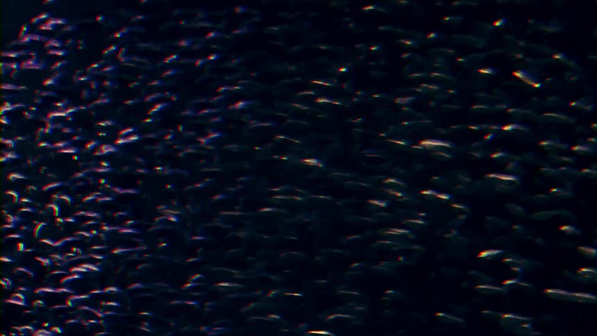 A body of water is shown up close with little waves flowing from right to left