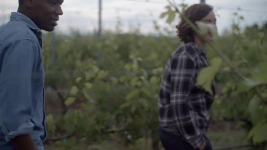 A man and woman walk outside on a cloudy day by a vineyard