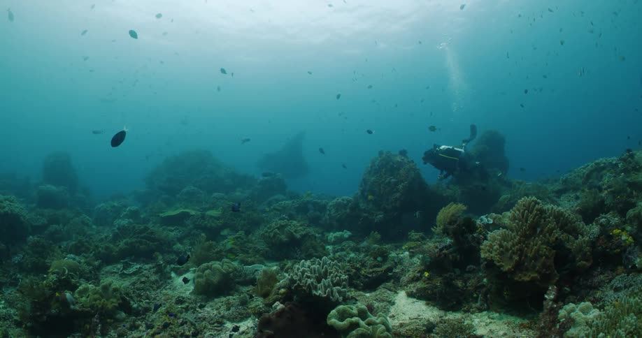 Scuba diver swims near seafloor releasing bubbles