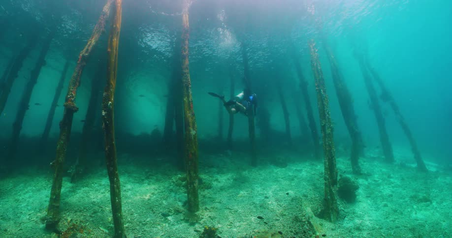 A person is scuba diving underwater