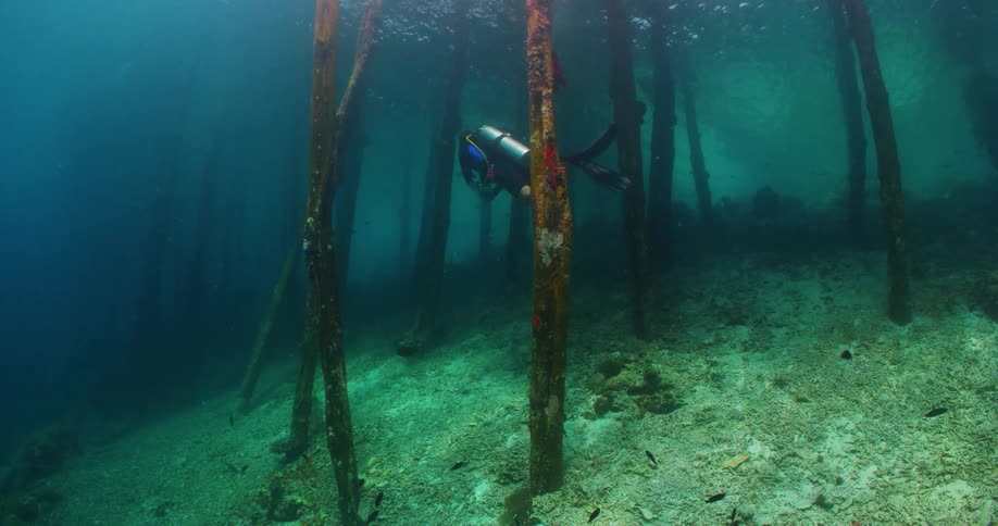 Scuba diver swims through crusted shipwreck ribs on seafloor