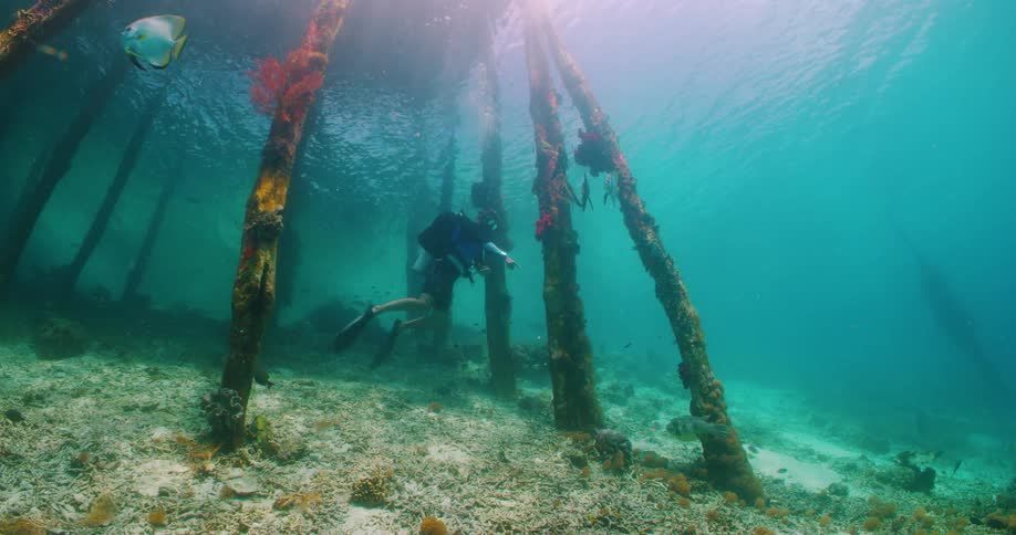 A diver swims under sea wreckage