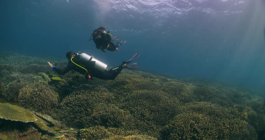 A man and woman swim near a coral reef on the sea floor in scuba gear during the day