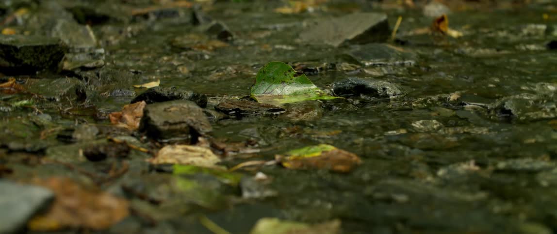 The small stream is flowing over the rocks