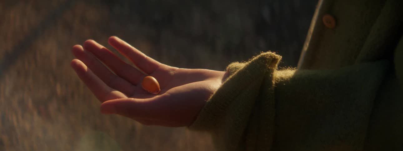 A female opens her closed hand to reveal a large seed