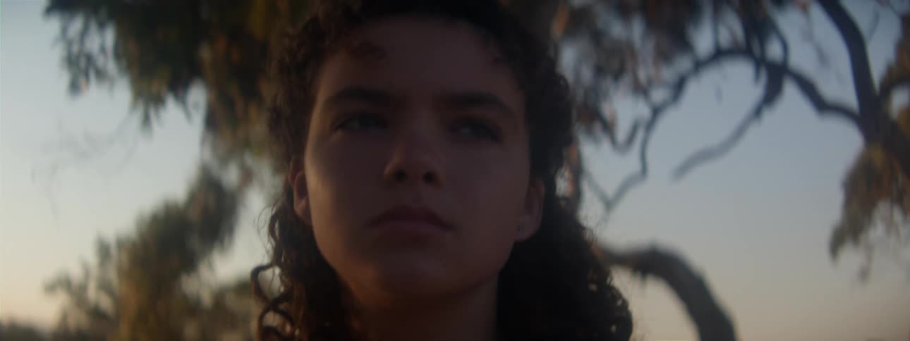 Girl with curly hair walks in the field at sunset