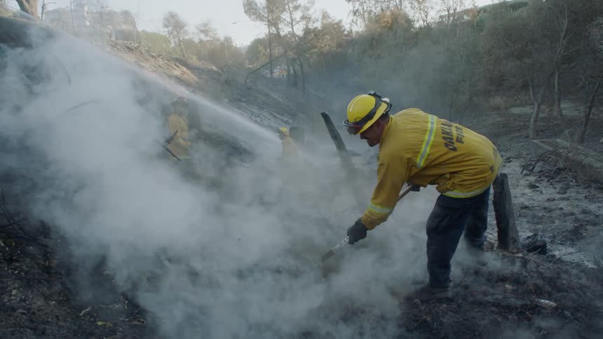 Firefighters spray water and rake the ground after a forest fire