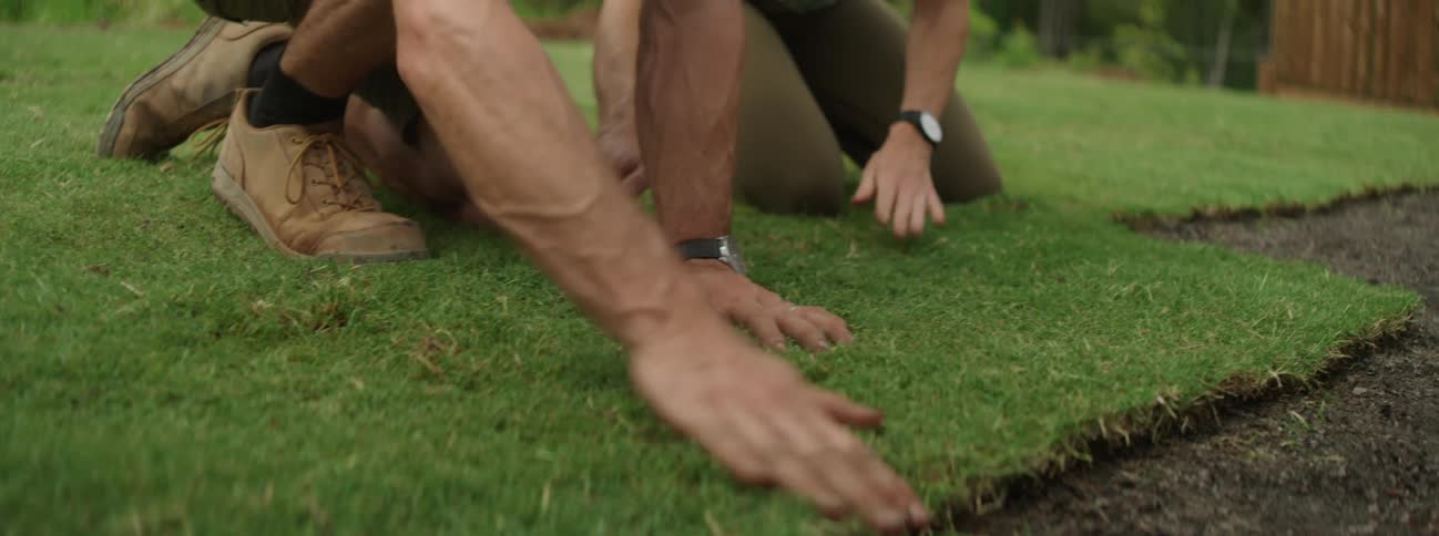 Man with shorts and brown shoes and woman wearing brown pants lay sod in the backyard