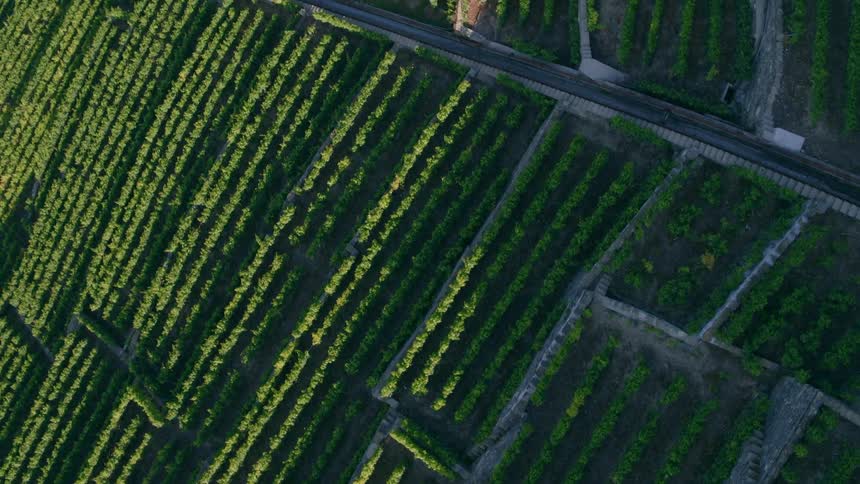 Aerial view of farmlands on hill slope
