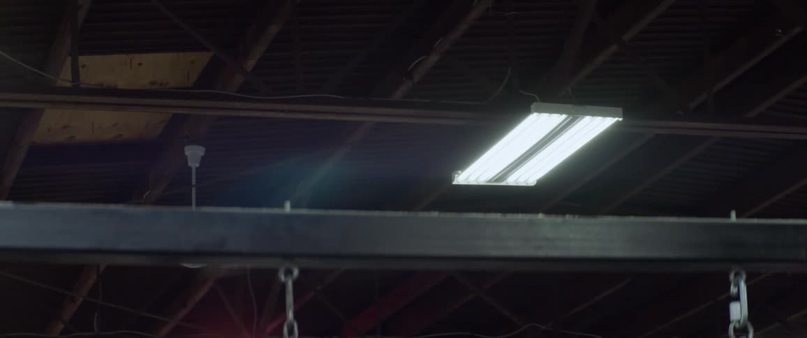 Fluorescent lamps are being switched off in building