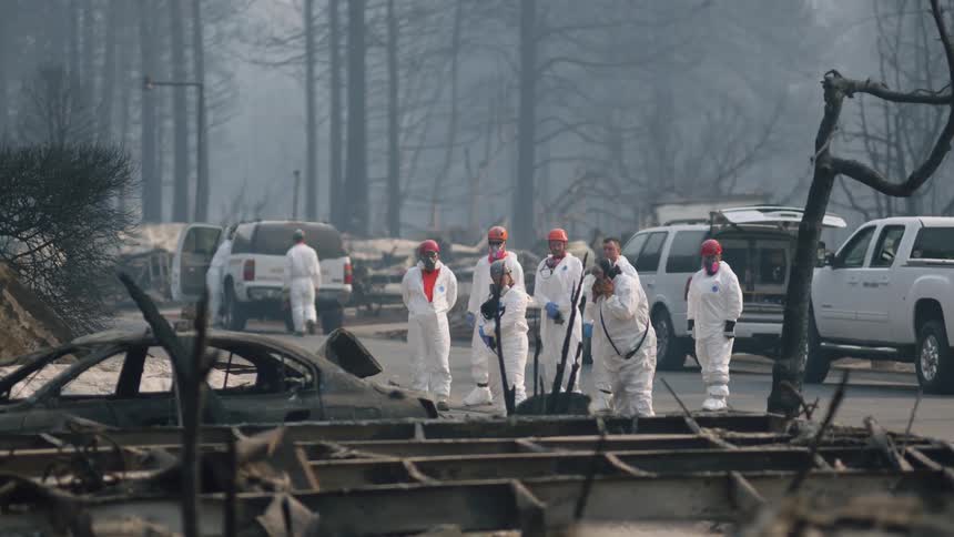 A group of workers dressed in white jump suits standing around rubble while guiding a dog through