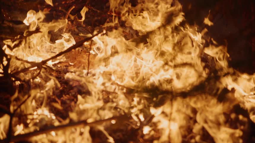 An up close of fire burning on the ground