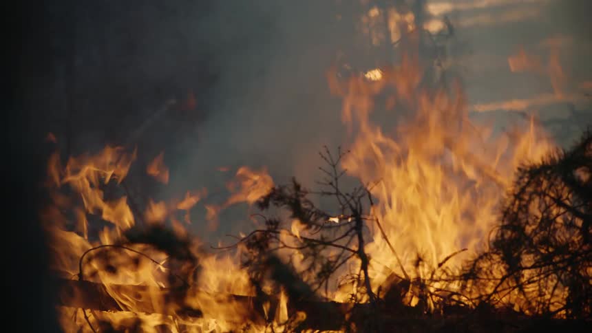 A brush fire at night