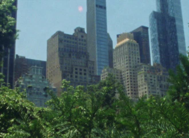 Skyscrapers and high rise buildings seen from public park in the city