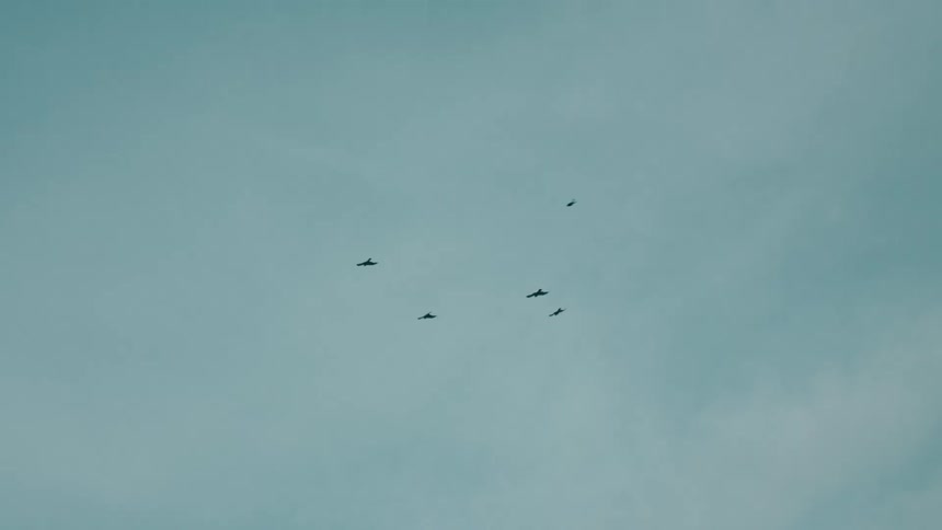 Five birds flying high in the sky